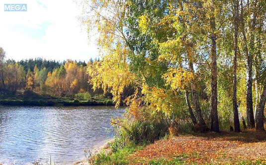 Продажа участка, 6&nbsp;соток, участок под жилую застройку, <a class="location-link" href="/nikolaevka-selo-kv-makarovskij-rajon/" title="Недвижимость Миколаївка">Миколаївка</a>, Миколаївська (изображение 3)