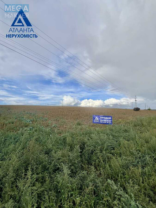 Продажа участка, 160&nbsp;соток, участок под жилую застройку, <a class="location-link" href="/podgajcy-selo-vl/" title="Недвижимость Підгайці">Підгайці</a>, Дубнівський провулок 6 (изображение 11)