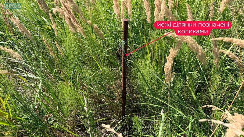 Продажа участка, 12&nbsp;соток, участок под жилую застройку, <a class="location-link" href="/podberezcy-selo/" title="Недвижимость Підберізці">Підберізці</a>, Сагайдачного (изображение 4)