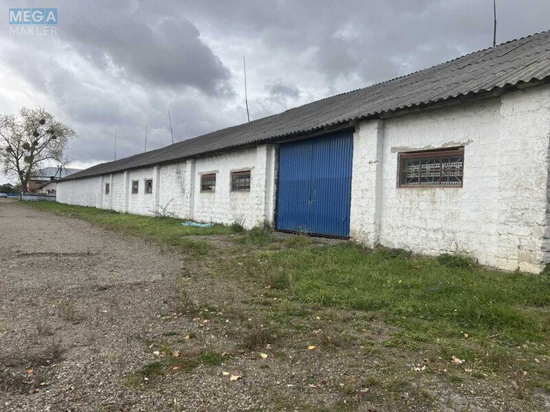Продаж окремої будівлі/побудови, 2&nbsp;350&nbsp;кв.м, под производство, <a class="location-link" href="/tarashany/" title="Недвижимость Тарашані">Тарашани</a>, Головна, 132А (изображение 2)