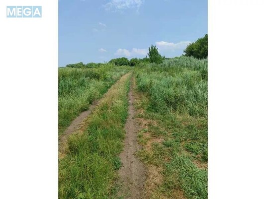 Продажа участка, 2&nbsp;152,23&nbsp;сотки, земля сельскохозяйственного назначения, <a class="location-link" href="/ozera-selo-kv/" title="Недвижимость Озера">Озера</a>, Нова (изображение 7)