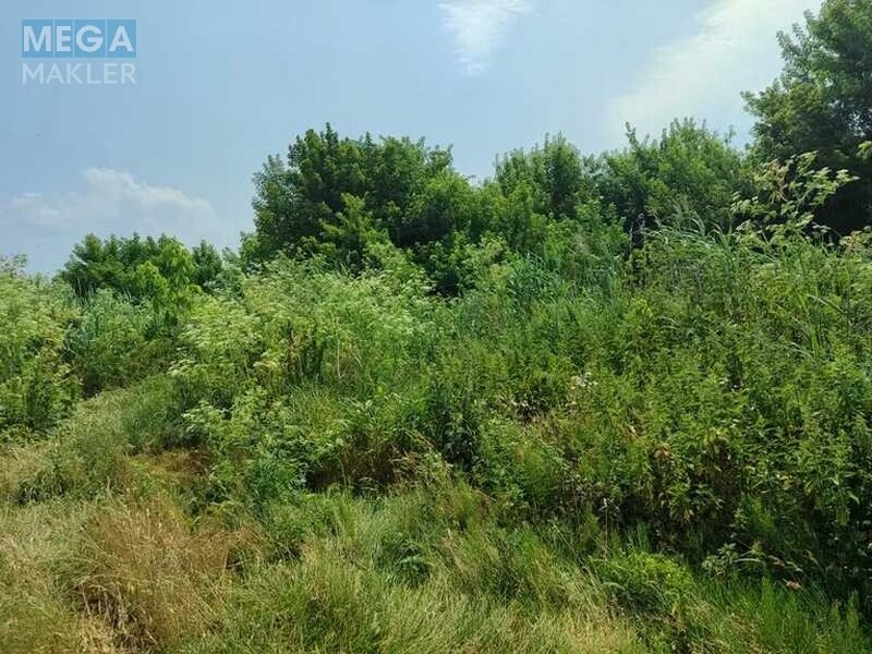 Продажа участка, 2&nbsp;152,23&nbsp;сотки, земля сельскохозяйственного назначения, <a class="location-link" href="/ozera-selo-kv/" title="Недвижимость Озера">Озера</a>, Нова (изображение 13)