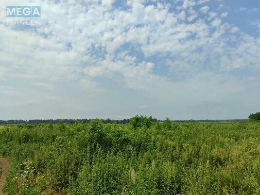 Продажа участка, 2&nbsp;152,23&nbsp;сотки, земля сельскохозяйственного назначения, <a class="location-link" href="/ozera-selo-kv/" title="Недвижимость Озера">Озера</a>, Нова (изображение 16)