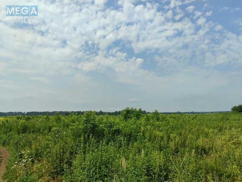Продажа участка, 2&nbsp;152,23&nbsp;сотки, земля сельскохозяйственного назначения, <a class="location-link" href="/ozera-selo-kv/" title="Недвижимость Озера">Озера</a>, Нова (изображение 16)