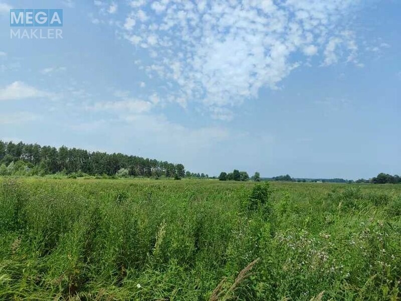 Продажа участка, 2&nbsp;152,23&nbsp;сотки, земля сельскохозяйственного назначения, <a class="location-link" href="/ozera-selo-kv/" title="Недвижимость Озера">Озера</a>, Нова (изображение 18)